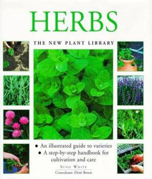 Herbs (Teach Yourself)