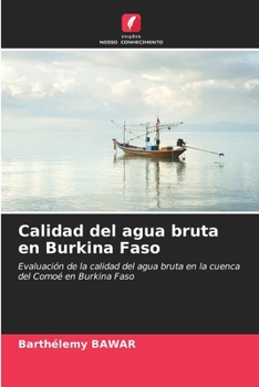 Calidad del agua bruta en Burkina Faso (Spanish Edition)