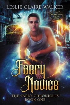 Paperback Faery Novice Book