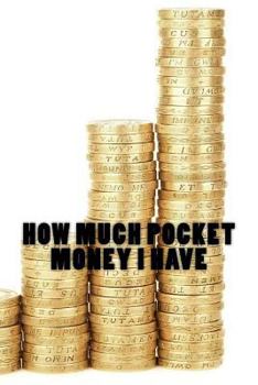 Paperback How Much Pocket Money I Have Book