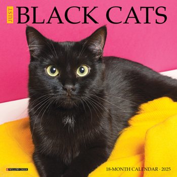 Calendar Just Black Cats 2025 7 X 7 Mini Wall Calendar Book