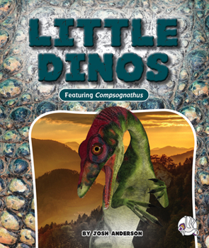 Library Binding Little Dinos Book