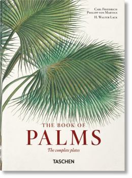 Hardcover Martius. the Book of Palms. 40th Ed. Book