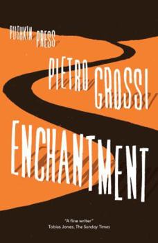 Paperback Enchantment Book