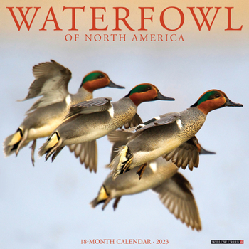Calendar Waterfowl 2023 Wall Calendar Book