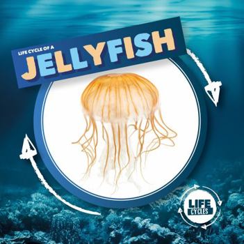 Hardcover Jellyfish Book