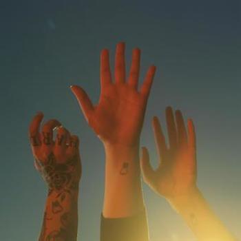 Vinyl The Record  Lp Book