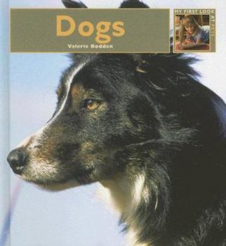 Dogs - Book  of the My First Look At: Pets