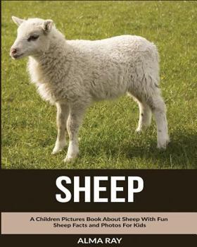 Paperback Sheep: A Children Pictures Book About Sheep With Fun Sheep Facts and Photos For Kids Book