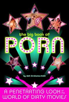 Paperback The Big Book of Porn: A Penetrating Look at the World of Dirty Movies Book
