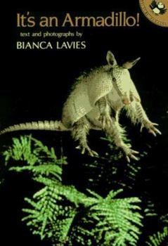 Paperback It's an Armadillo! (Picture Puffins) Book