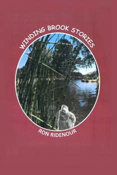 Paperback Winding Brook Stories Book