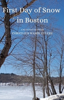 Paperback First Day of Snow in Boston Book