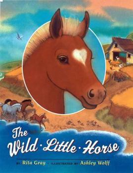 Hardcover The Wild Little Horse Book