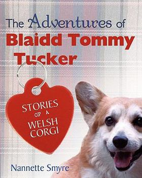 Paperback The Adventures of Blaidd Tommy Tucker: Stories of a Welsh Corgi Book