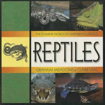 Paperback Reptiles Book