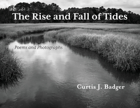 Paperback The Rise and Fall of Tides Book