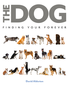 Hardcover The Dog: Finding Your Forever Book