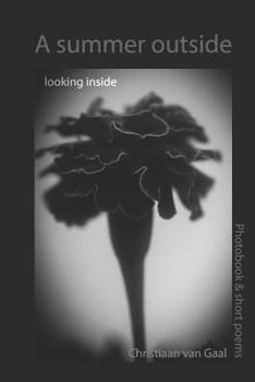 Paperback A summer outside Looking inside Book