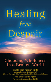 Hardcover Healing from Despair: Choosing Wholeness in a Broken World Book