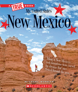 Paperback New Mexico (a True Book: My United States) Book