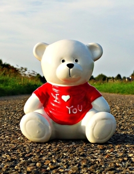 Teddy Bear Health Journal Planner One Year Log Book: (cqs.0425)