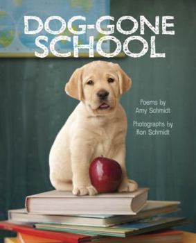 Hardcover Dog-Gone School Book