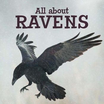 Paperback All about Ravens: English Edition Book