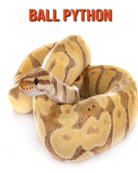 Paperback Ball Python: Beautiful Pictures & Interesting Facts Children Book About Ball Python Book