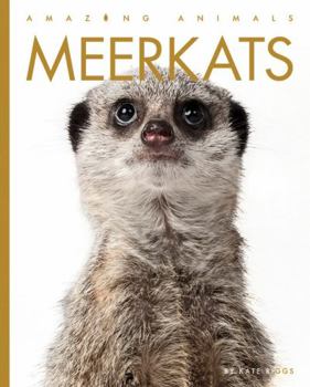 Library Binding Meerkats Book