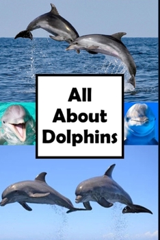Paperback All About Dolphins Book