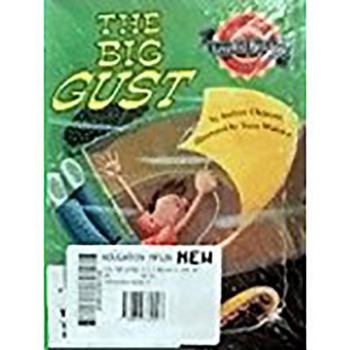 Hardcover Houghton Mifflin Leveled Readers: Below-Level 6pk Level N the Big Gust Book