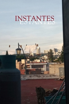 Paperback Instantes/Estantes [Spanish] Book