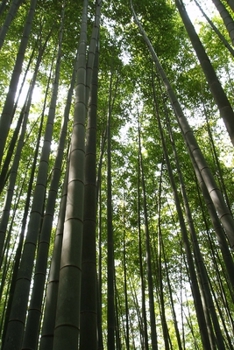 Forja de metal frio: Ningu�m � forte at� que precise