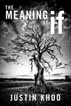 Hardcover The Meaning of If Book