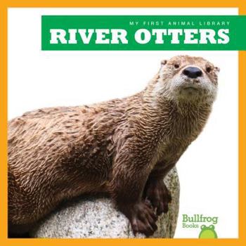 Library Binding River Otters Book