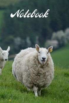 Paperback Notebook: A5 (6 x 9 Inches) Notebook Journal Diary. High Quality Hand Writing Journal with 100 Pages Book