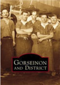 Paperback Gorseinon and District Book