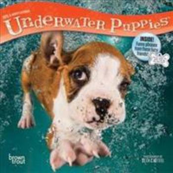 Calendar Underwater Puppies 2019 7 x 7 Inch Monthly Mini Wall Calendar, Pet Humor Dog Book