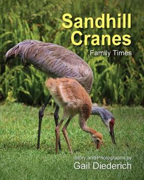 Paperback Sandhill Cranes, Family Times Book