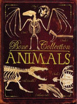 Paperback Bone Collection: Animals Book