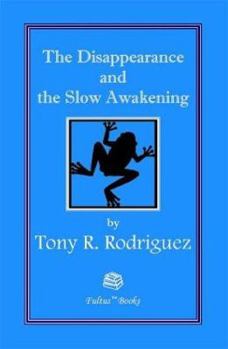 Paperback The Disappearance and the Slow Awakening Book