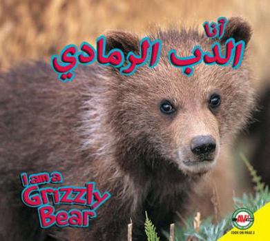 Hardcover Grizzly Bear: Arabic-English Bilingual Edition Book