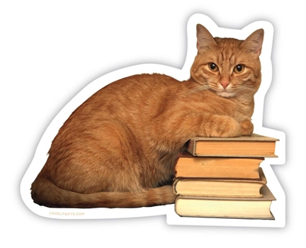 Paperback Smarty Cat Sticker Book