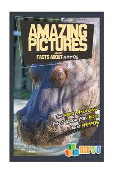 Paperback Amazing Pictures and Facts about Hippos: The Most Amazing Fact Book for Kids about Hippos Book