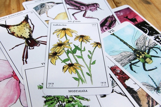 Gift Rust Belt Arcana (Tarot Deck) Book