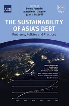 Hardcover The Sustainability of Asia’s Debt: Problems, Policies, and Practices Book