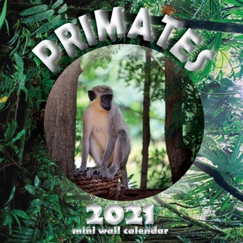 Paperback Primates 2021 Mini Wall Calendar Book