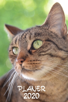 Paperback Planer 2020: Terminplaner Monatsplaner und Wochenplaner Organizer Hauskatze [German] Book