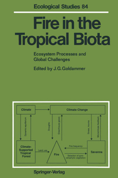Paperback Fire in the Tropical Biota: Ecosystem Processes and Global Challenges Book